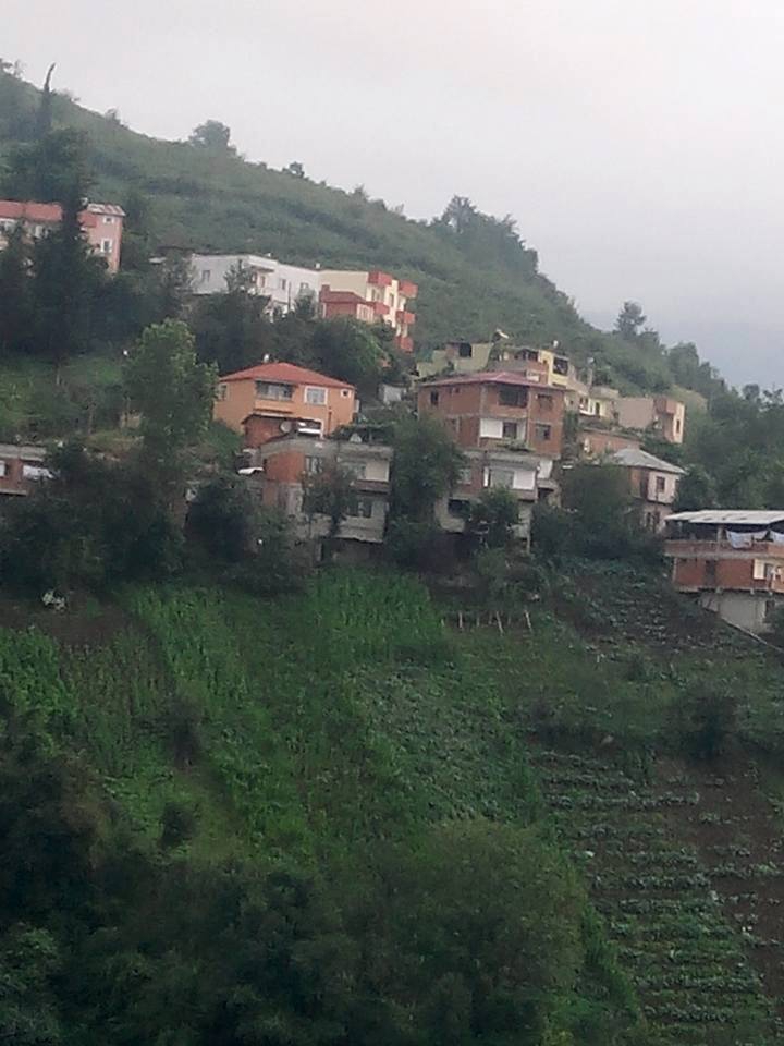 Akçaabat Akdamar Köyü Resimleri 11