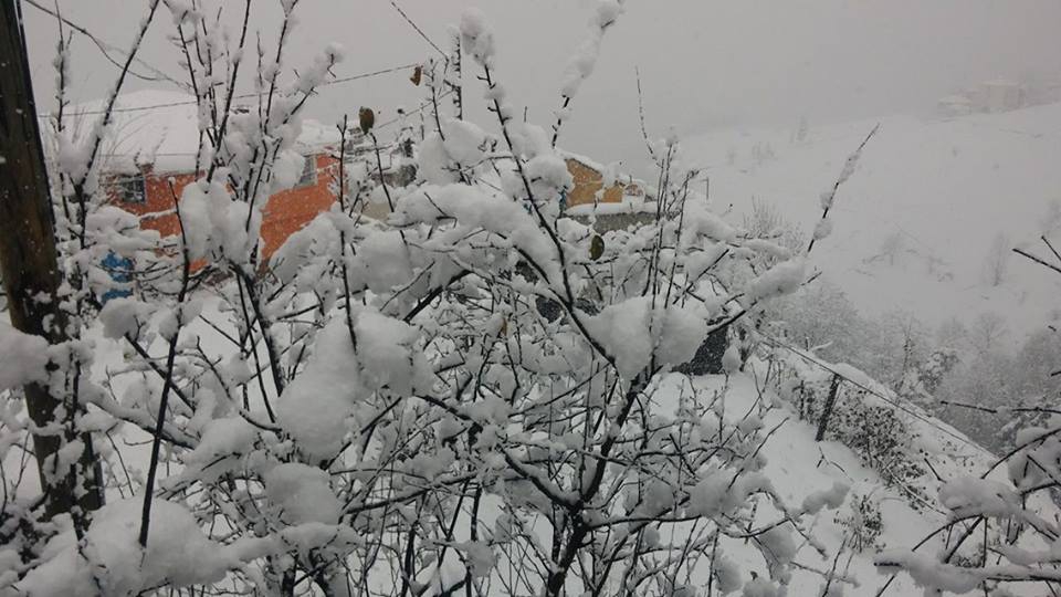 Akçaabat Akdamar Köyü Resimleri 13