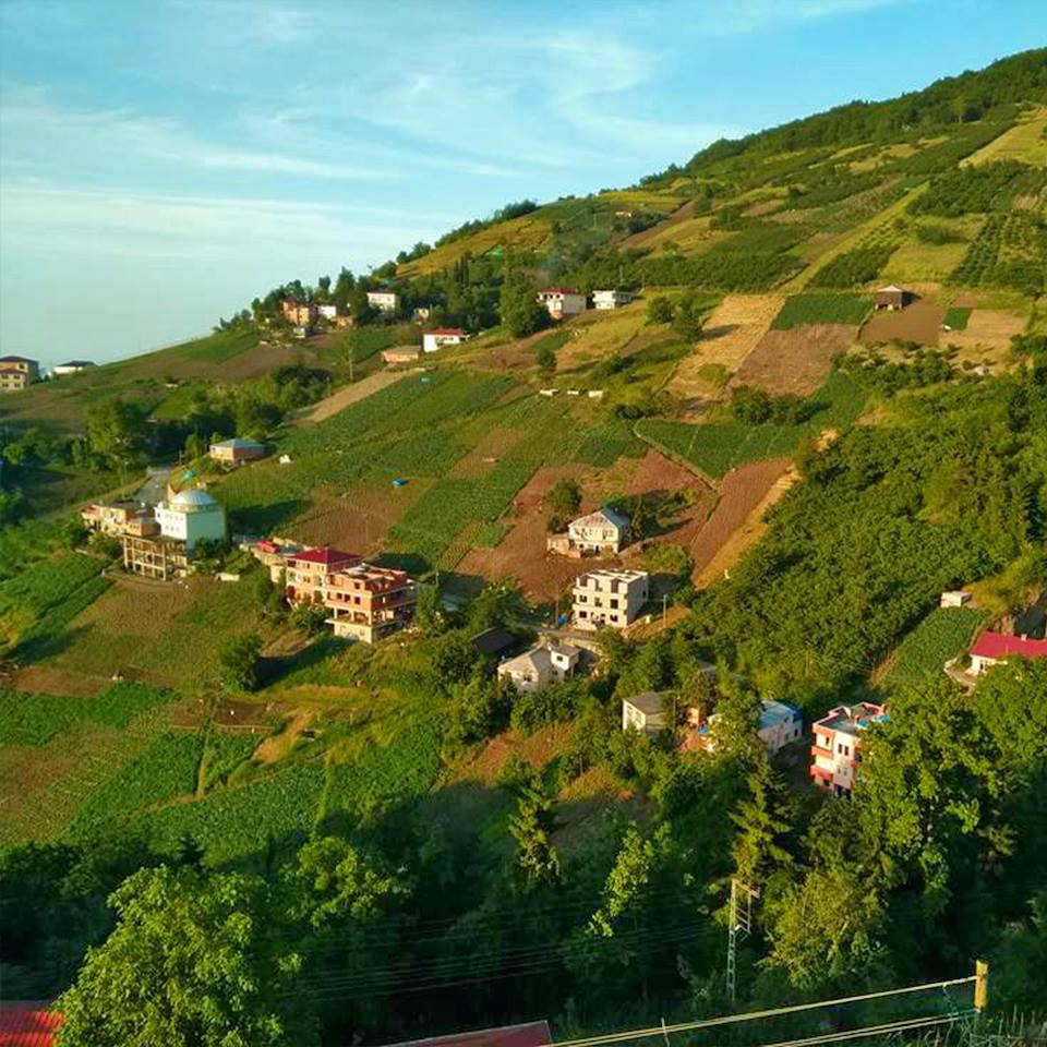 Akçaabat Akdamar Köyü Resimleri 16