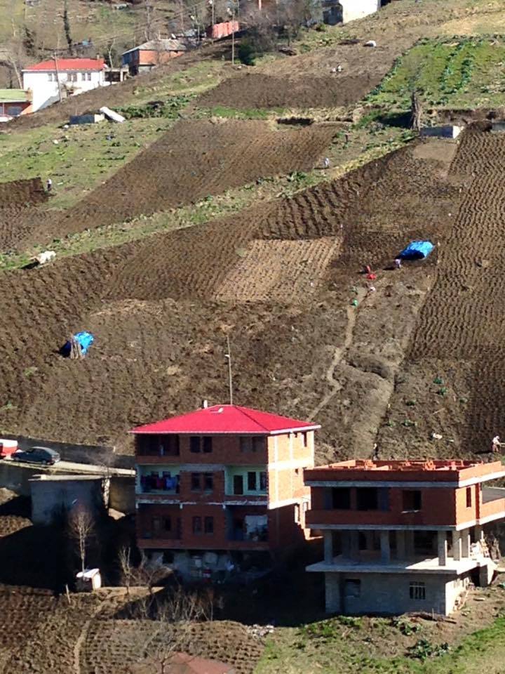 Akçaabat Akdamar Köyü Resimleri 9