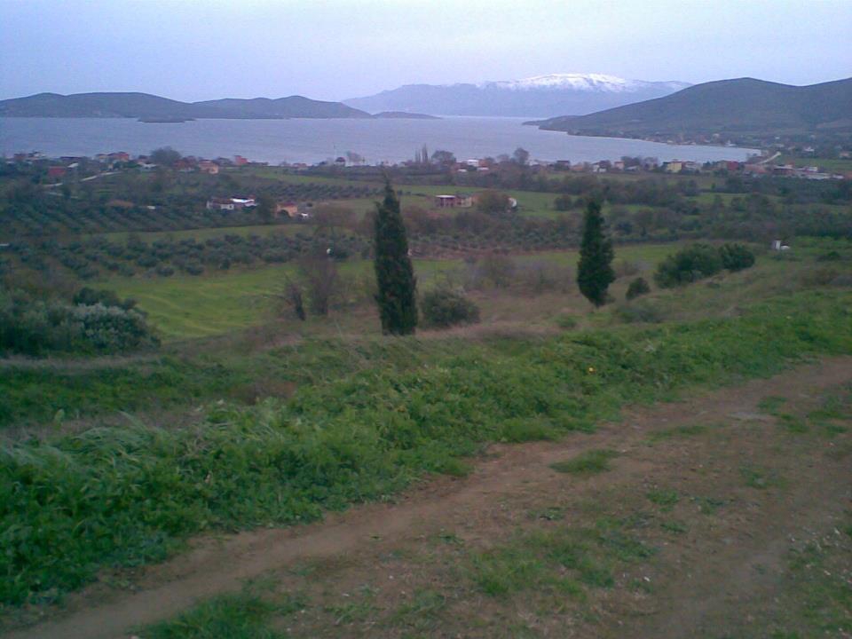 Erdek Harmanlı Köyü Resimleri 1