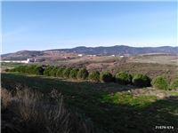 Erdek Karşıkaya Köyü Resimleri 5