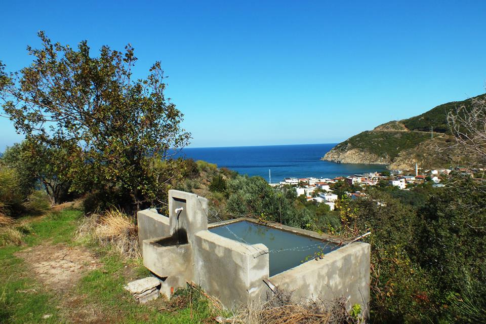 Erdek Ormanlı Köyü Resimleri 4