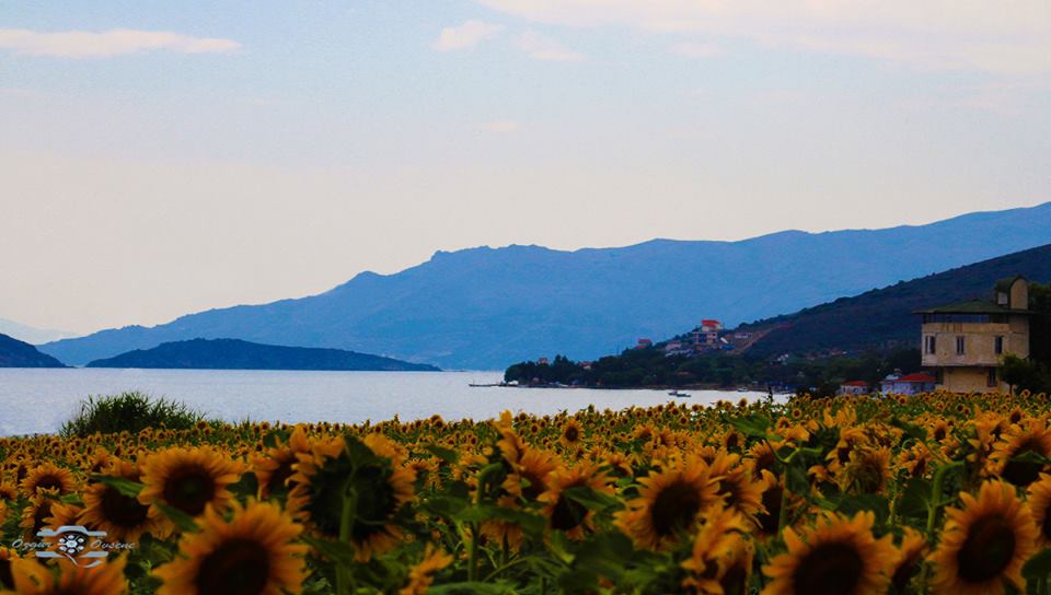 Erdek Paşalimanı Köyü Resimleri 2