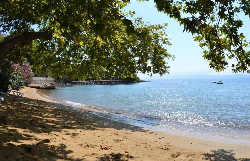 Erdek Tatlısu Köyü Resimleri 1