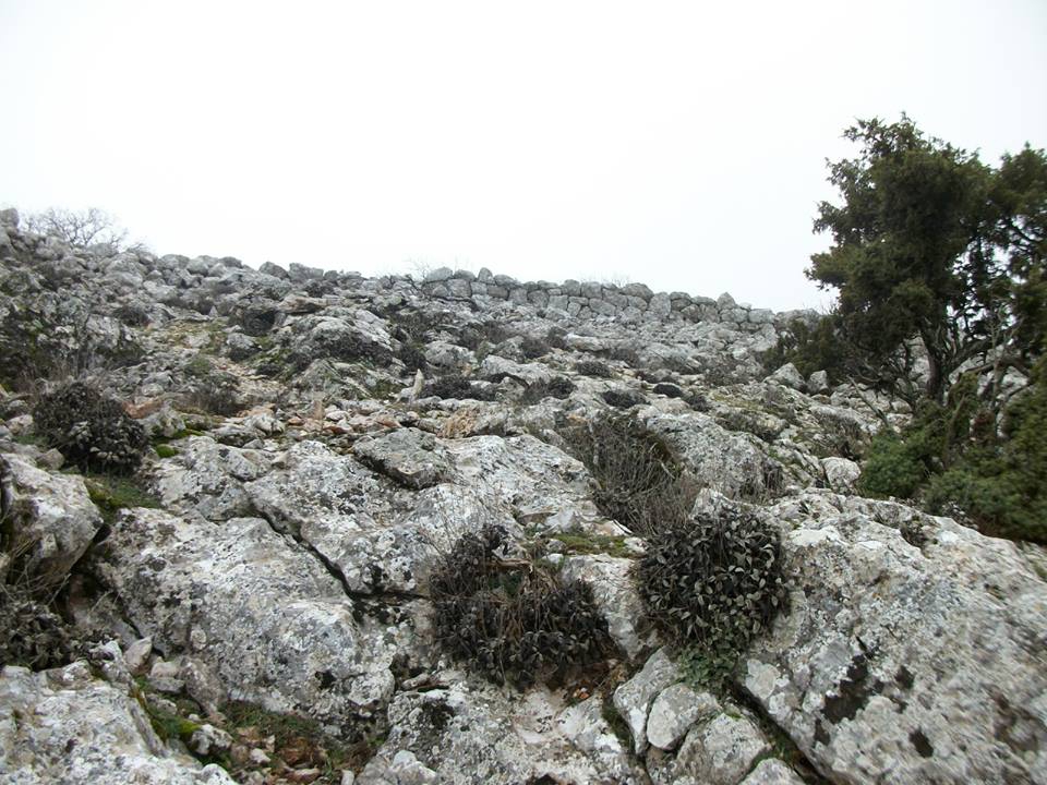 Ayvacık Çaltı Köyü Resimleri 4