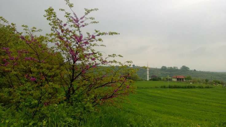 Gönen Akçapınar Köyü Resimleri 4