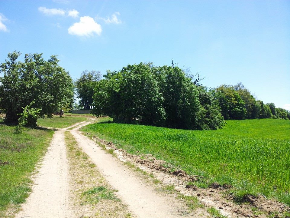 Ayvacık Ahmetler Köyü Resimleri 3