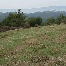 Ayvacık Akçin Köyü Resimleri 5