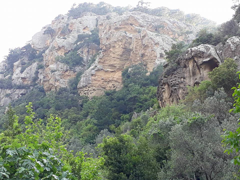 Ayvacık Arıklı Köyü Resimleri 4