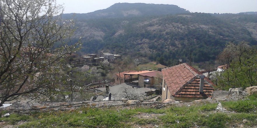 Ayvacık Arıklı Köyü Resimleri