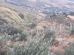 Ayvacık Babadere Köyü Resimleri 1