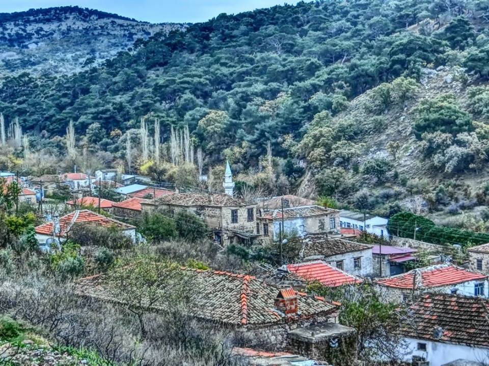 Ayvacık Babadere Köyü Resimleri 4