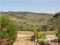 Ayvacık Bahçedere Köyü Resimleri 2