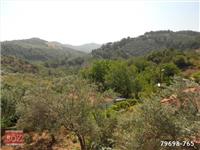 Ayvacık Bahçedere Köyü Resimleri 3