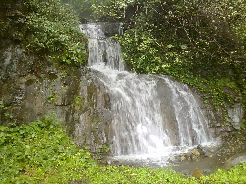 Akçaabat Akpınar Köyü Resimleri 17