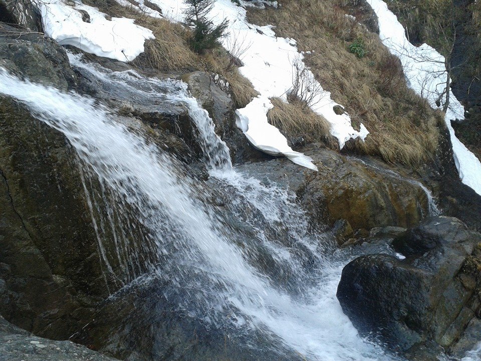 Akçaabat Akpınar Köyü Resimleri 20