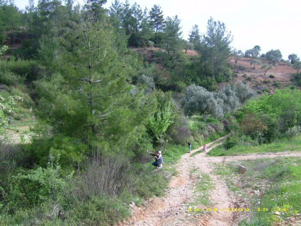 Muğla Akçaova Köyü Resimleri 7