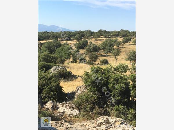 Ayvacık Bektaş Köyü Resimleri 3