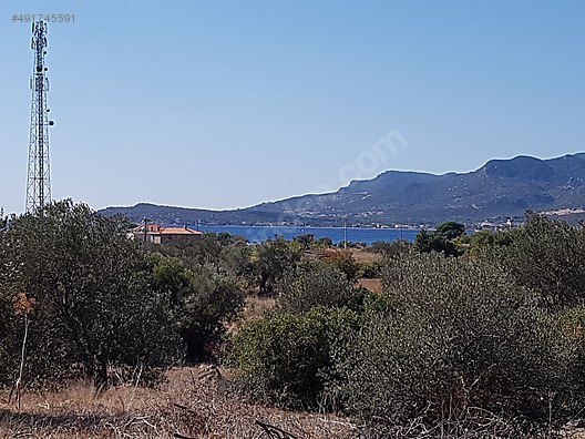 Ayvacık Bektaş Köyü Resimleri 4