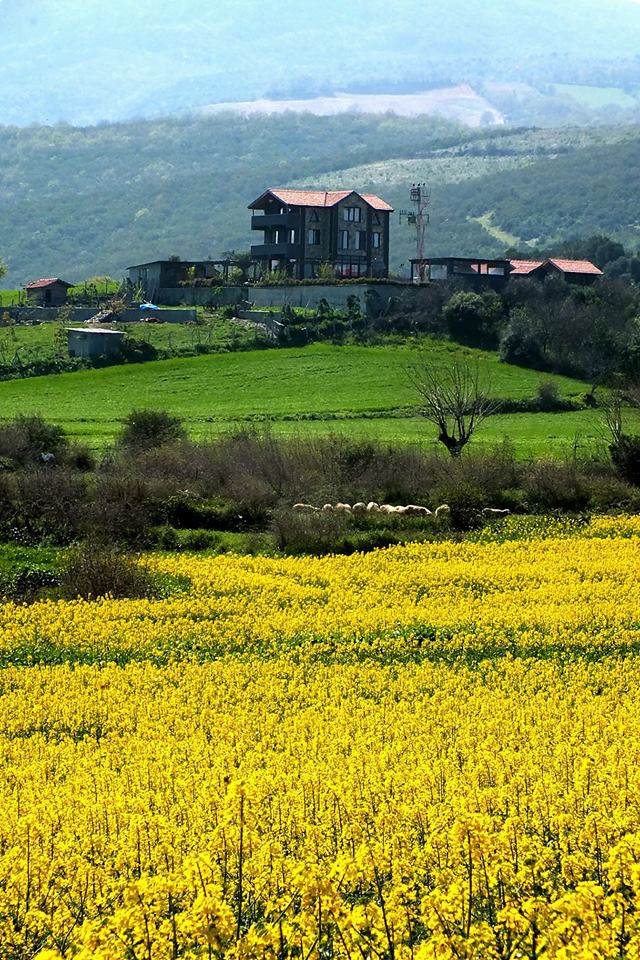 Gönen Babayaka Köyü Resimleri 4
