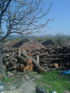 Ayvacık Budaklar Köyü Resimleri 1