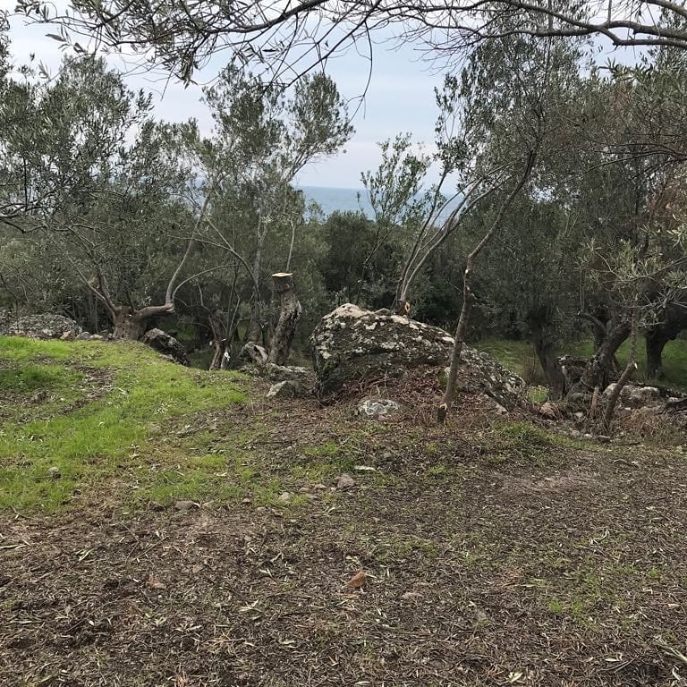 Ayvacık Büyükhusun Köyü Resimleri 3