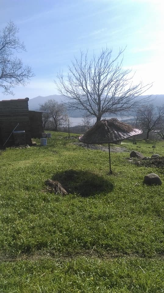 Ayvacık Dibekli Köyü Resimleri 5