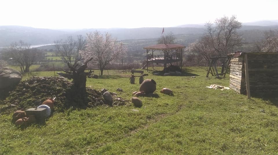 Ayvacık Dibekli Köyü Resimleri 6