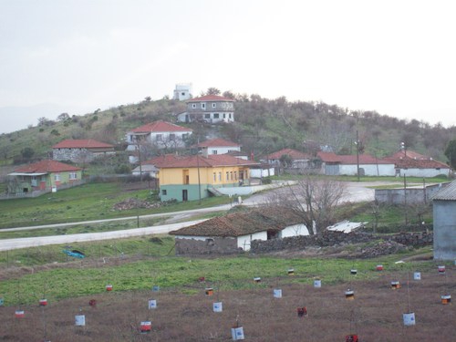 Gönen Çalıoba Köyü Resimleri 2