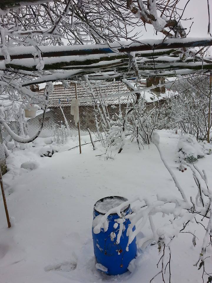 Ayvacık Keçikaya Köyü Resimleri 2