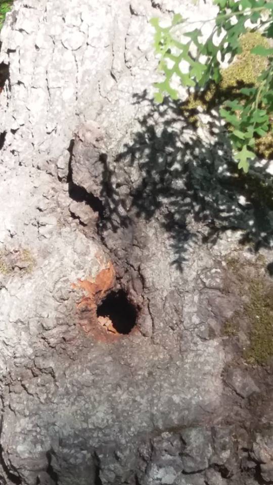 Ayvacık Kösedere Köyü Resimleri 1