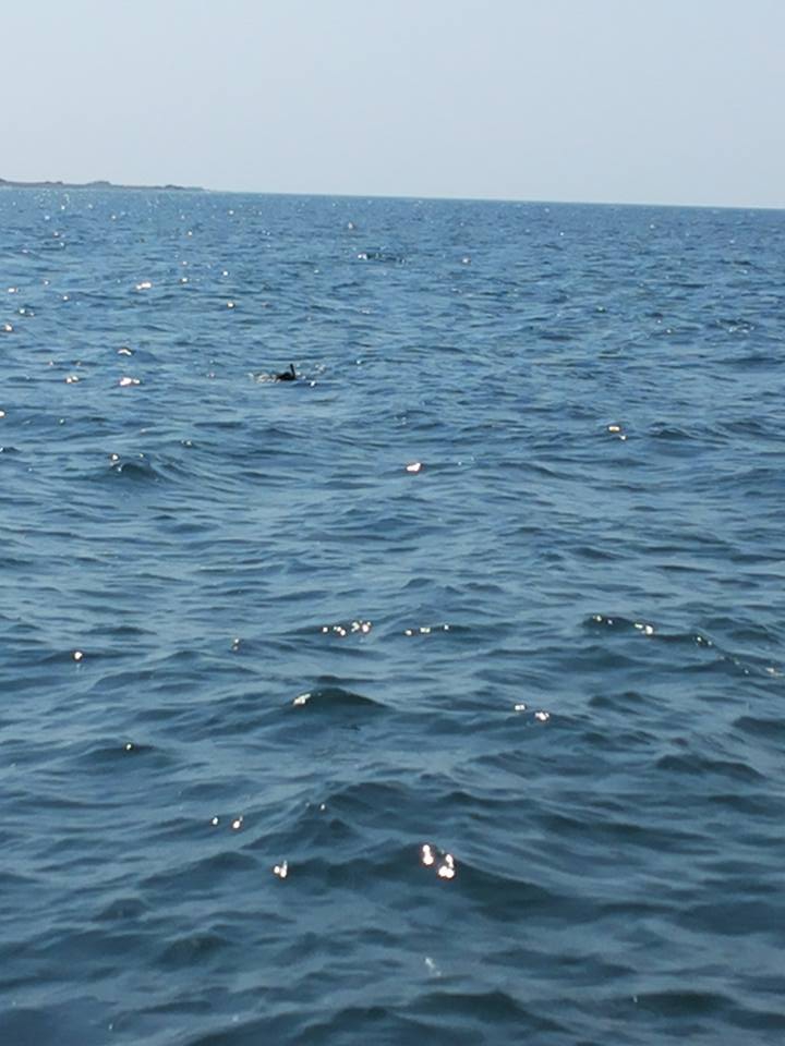 Ayvacık Kösedere Köyü Resimleri 2