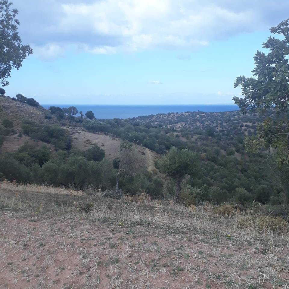 Ayvacık Kösedere Köyü Resimleri 4