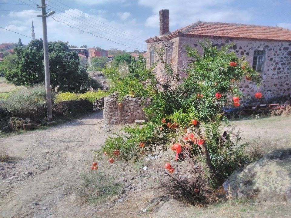 Ayvacık Kulfal Köyü Resimleri 6