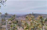 Ayvacık Naldöken köyü  Resimleri 4