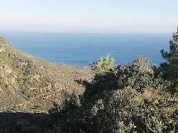 Ayvacık Pınardere Köyü Resimleri 3