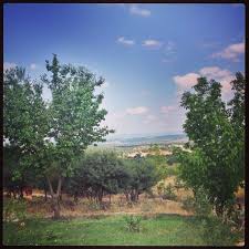 Ayvacık Sapanca Köyü Resimleri 1