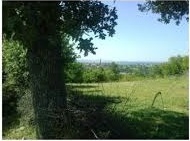 Ayvacık Sapanca Köyü Resimleri 3