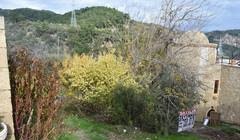 Ayvacık Sapanca Köyü Resimleri 4