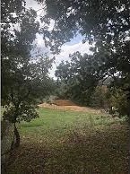 Ayvacık Söğütlü Köyü Resimleri 1