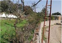 Ayvacık Söğütlü Köyü Resimleri 3