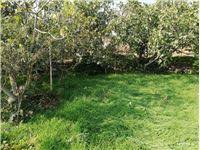 Ayvacık Söğütlü Köyü Resimleri 4