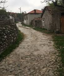 Ayvacık Söğütlü Köyü Resimleri 9