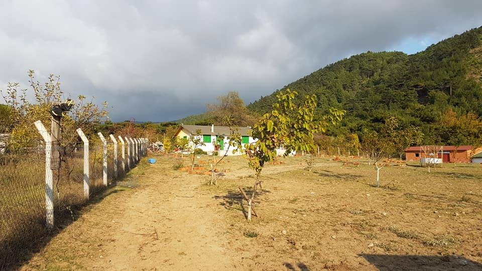 Havran Kalabak Köyü Resimleri 4