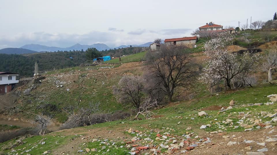 Havran Kalabak Köyü Resimleri 9