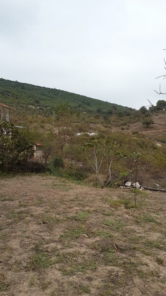 İvrindi Akçal Köyü Resimleri 2