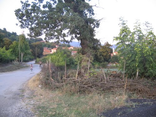 İvrindi Akçal Köyü Resimleri 4