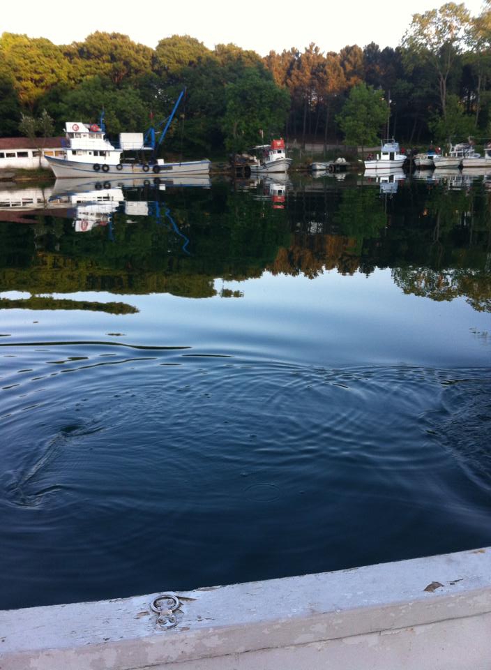 Sinop Abalı Köyü Resimleri 6