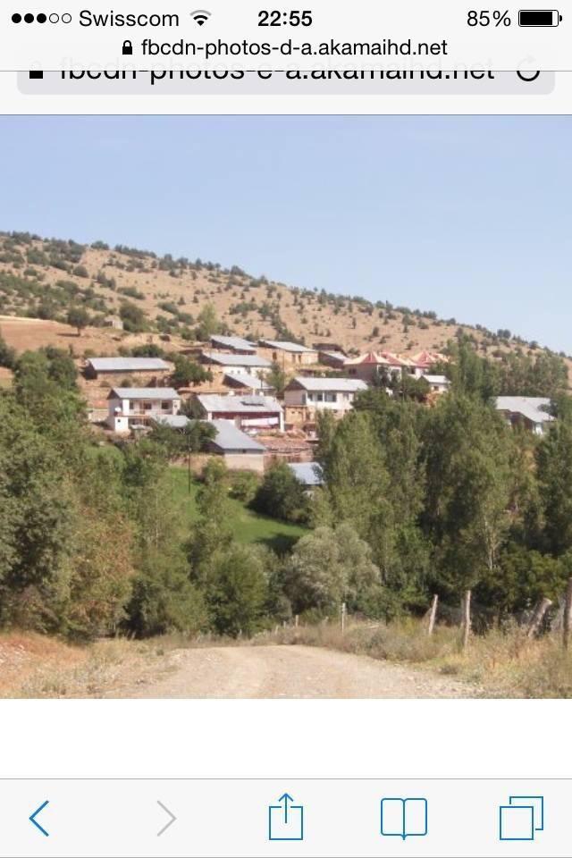 Şiran Yedibölük Köyü Resimleri 2